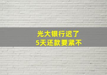 光大银行迟了5天还款要紧不