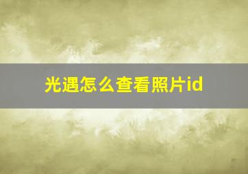 光遇怎么查看照片id