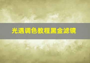 光遇调色教程黑金滤镜