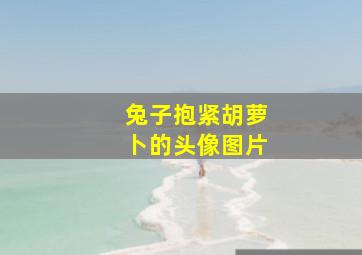 兔子抱紧胡萝卜的头像图片