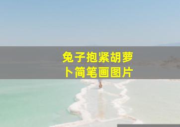 兔子抱紧胡萝卜简笔画图片