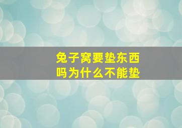 兔子窝要垫东西吗为什么不能垫