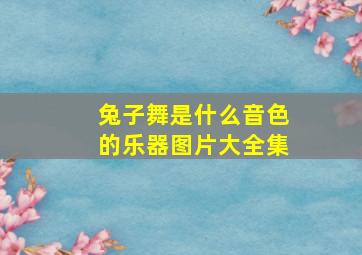 兔子舞是什么音色的乐器图片大全集