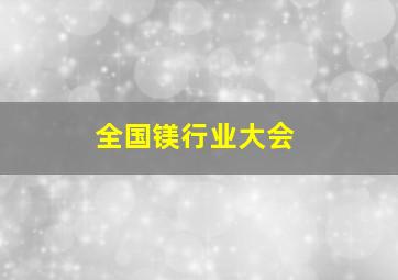 全国镁行业大会