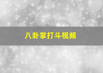 八卦掌打斗视频