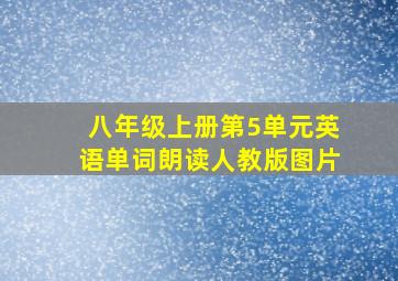 八年级上册第5单元英语单词朗读人教版图片