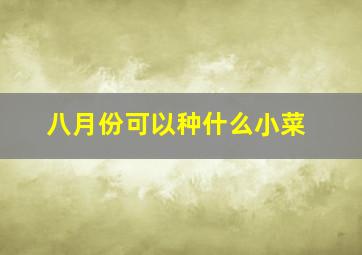 八月份可以种什么小菜