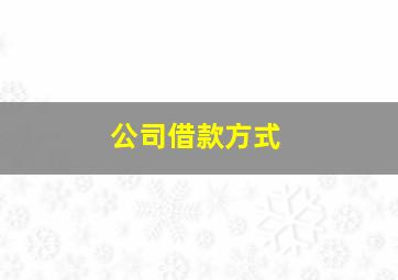 公司借款方式