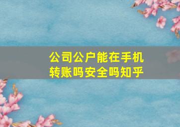 公司公户能在手机转账吗安全吗知乎