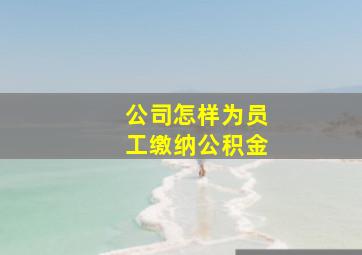 公司怎样为员工缴纳公积金