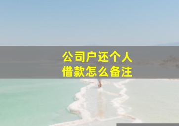 公司户还个人借款怎么备注