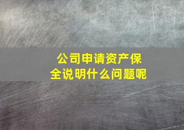 公司申请资产保全说明什么问题呢