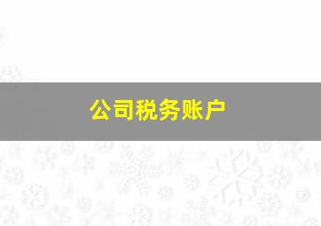 公司税务账户