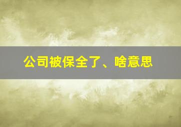 公司被保全了、啥意思