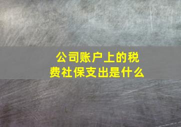 公司账户上的税费社保支出是什么