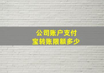 公司账户支付宝转账限额多少