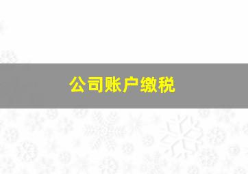 公司账户缴税