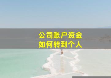 公司账户资金如何转到个人