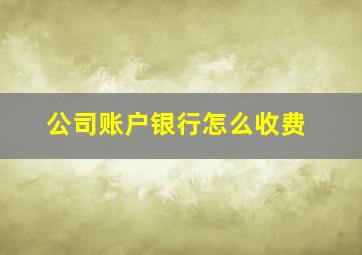 公司账户银行怎么收费