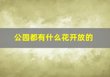 公园都有什么花开放的