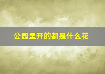 公园里开的都是什么花