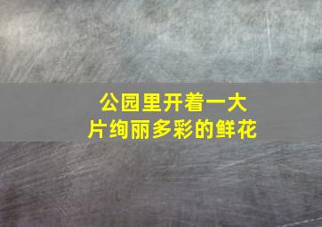 公园里开着一大片绚丽多彩的鲜花