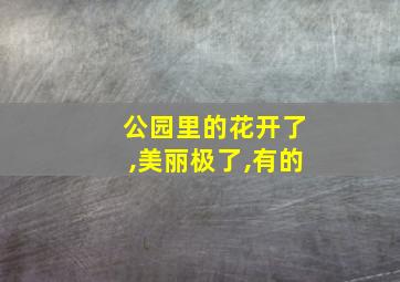 公园里的花开了,美丽极了,有的