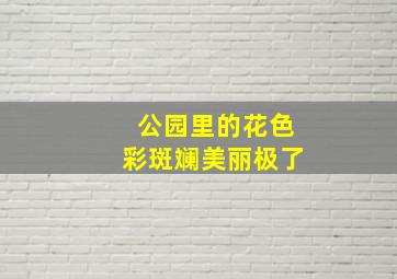 公园里的花色彩斑斓美丽极了