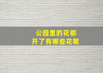 公园里的花都开了有哪些花呢