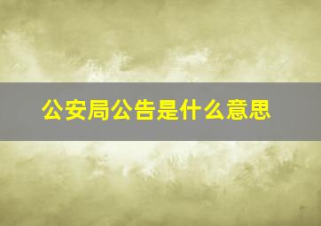 公安局公告是什么意思