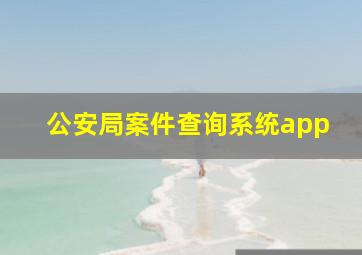 公安局案件查询系统app