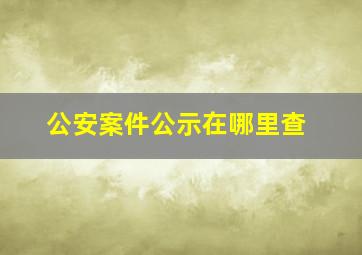 公安案件公示在哪里查