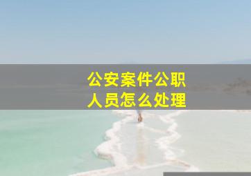 公安案件公职人员怎么处理