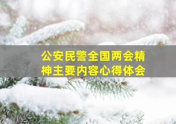 公安民警全国两会精神主要内容心得体会