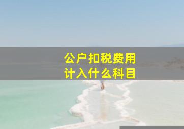 公户扣税费用计入什么科目