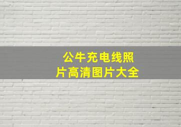 公牛充电线照片高清图片大全