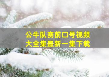 公牛队赛前口号视频大全集最新一集下载