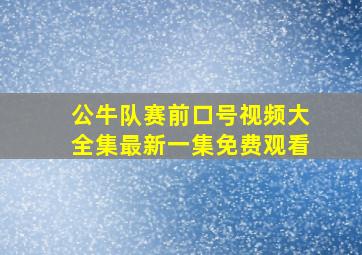 公牛队赛前口号视频大全集最新一集免费观看