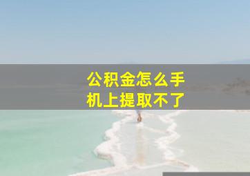 公积金怎么手机上提取不了