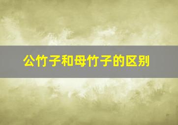 公竹子和母竹子的区别