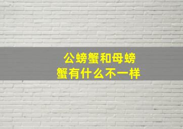 公螃蟹和母螃蟹有什么不一样