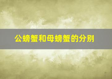 公螃蟹和母螃蟹的分别