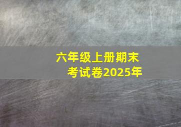 六年级上册期末考试卷2025年