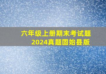 六年级上册期末考试题2024真题固始县版