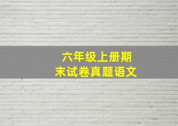 六年级上册期末试卷真题语文