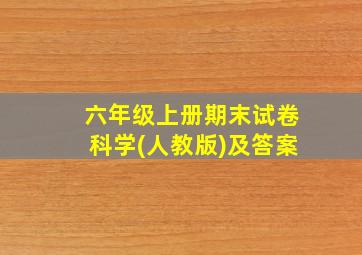 六年级上册期末试卷科学(人教版)及答案