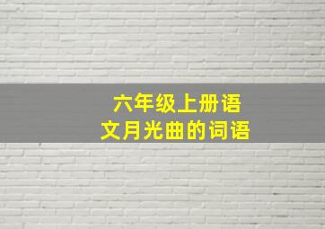 六年级上册语文月光曲的词语