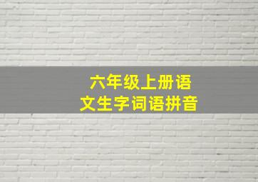 六年级上册语文生字词语拼音