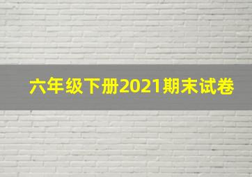 六年级下册2021期末试卷