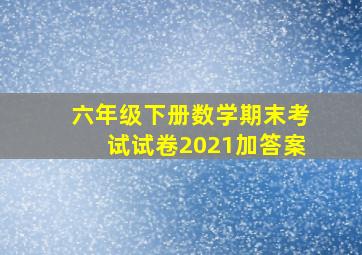 六年级下册数学期末考试试卷2021加答案